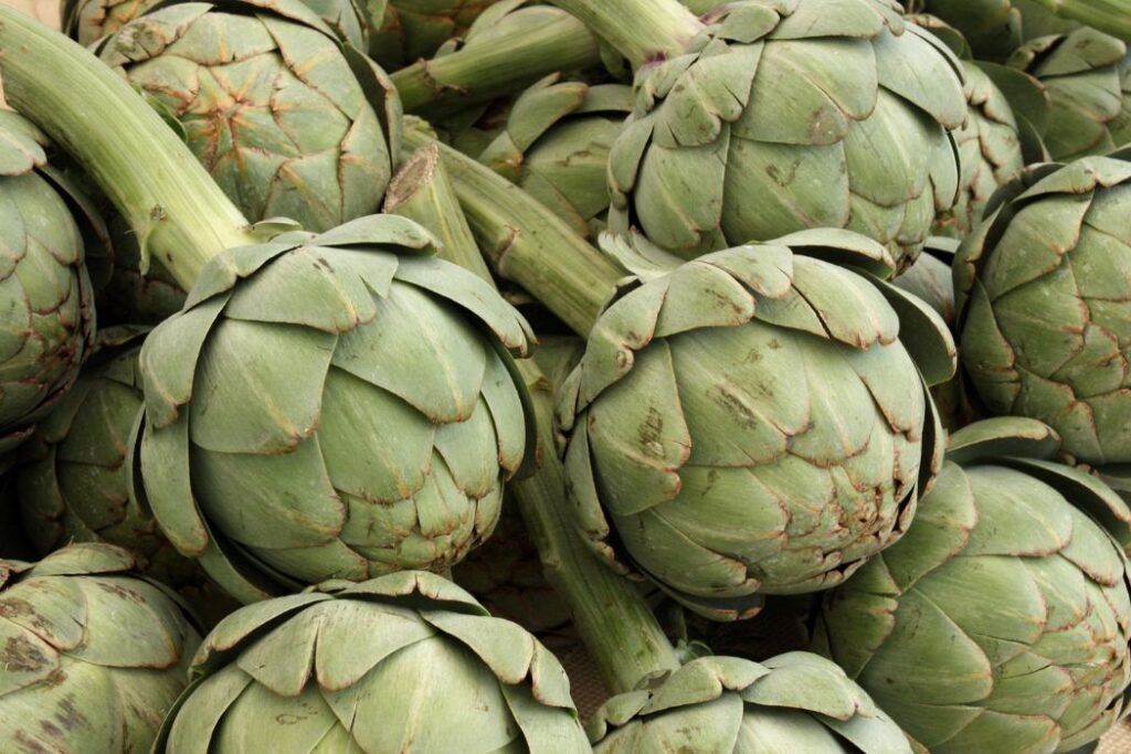 gastronomia en tudela